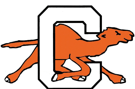 Campbell Fighting Camels 1993-2004 Alternate Logo DIY iron on transfer (heat transfer)